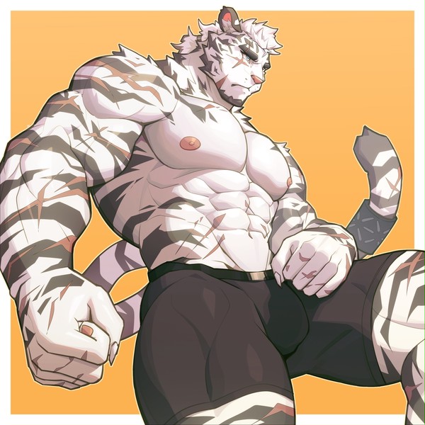 无题
