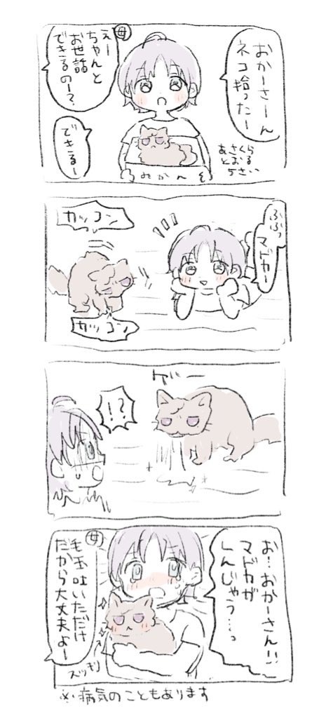 ノクチルと猫