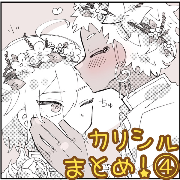 カリシルまとめ!4