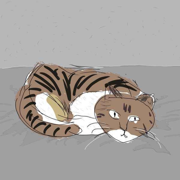 ねこ