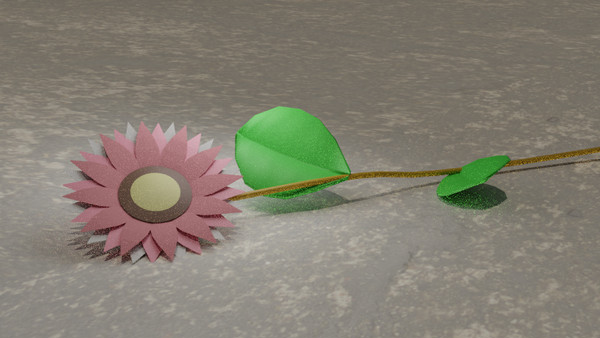 ローダンセのお花