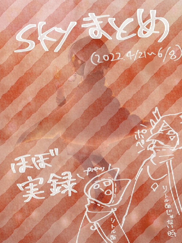 Sky実録まとめ1