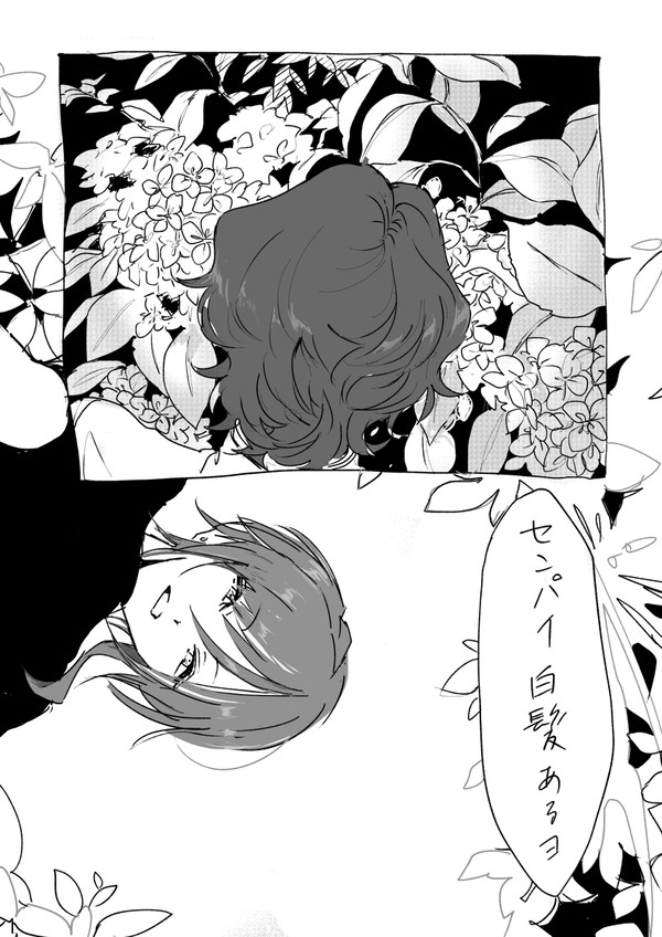 紫陽花
