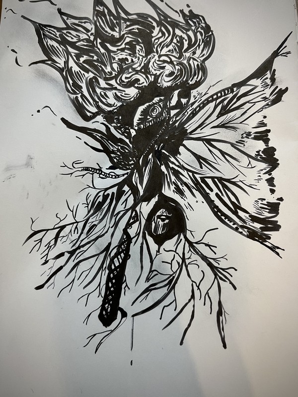 蝶樹