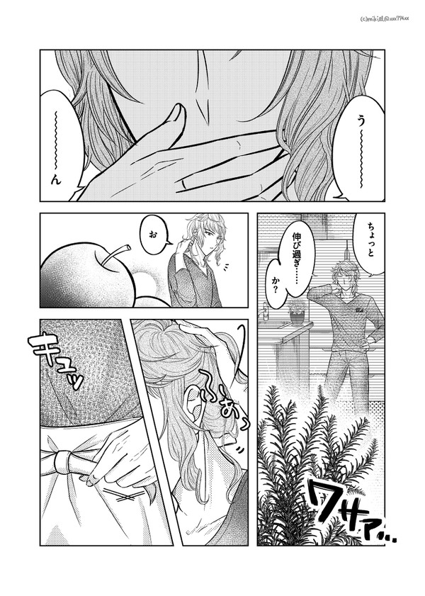 ハイビスカスティータイム・プレミアム
