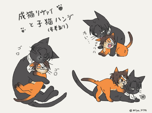 成猫リ子猫ハ