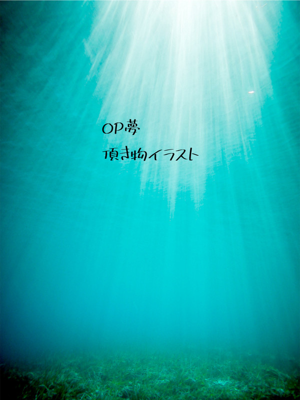 頂き物イラスト！