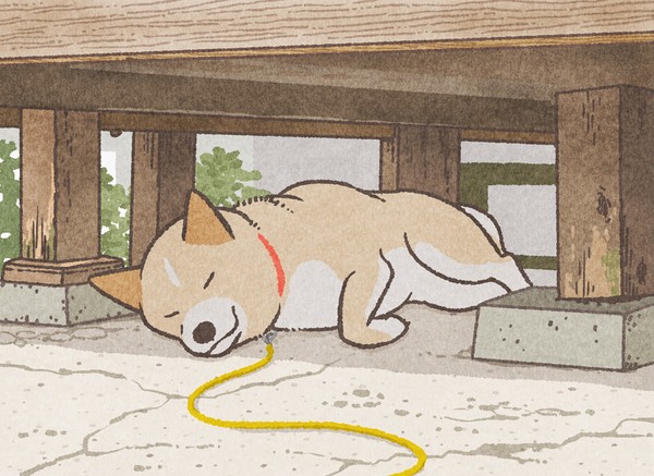 【日曜犬絵室】お昼寝at縁の下