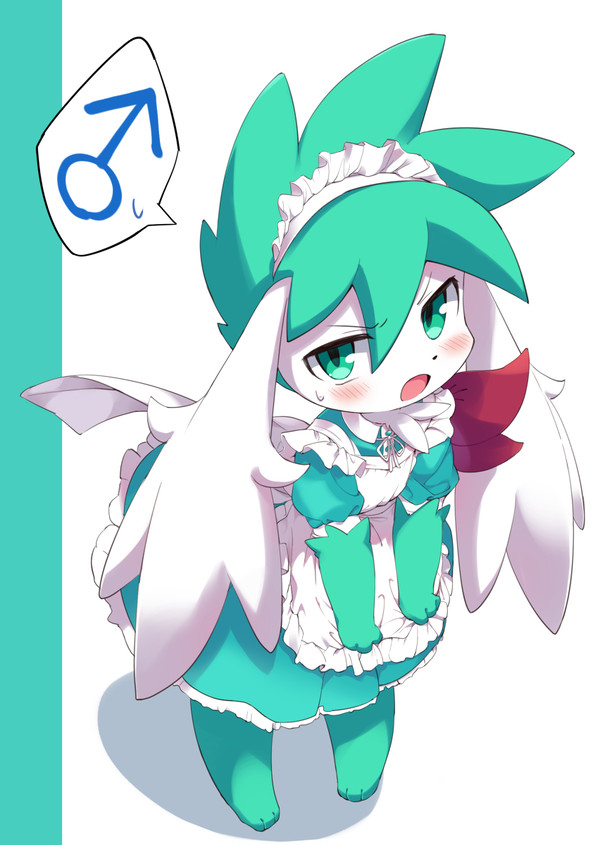 いろいろ詰め