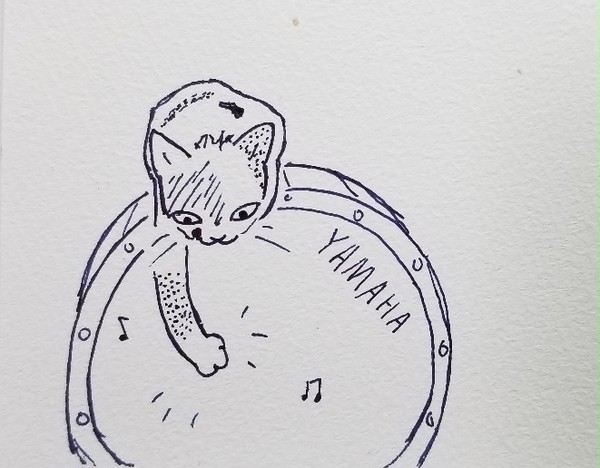 鼓面を叩いてみるねこ