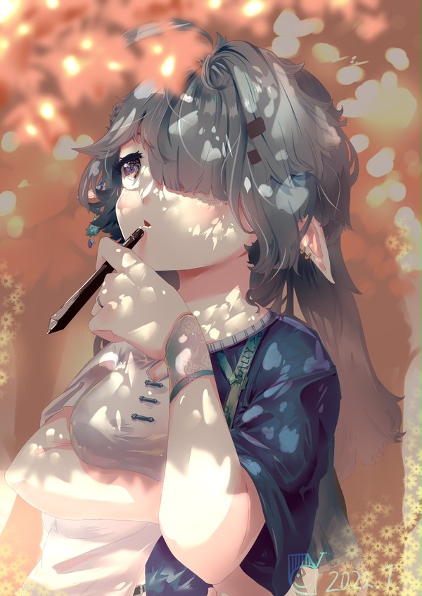 枫🍁