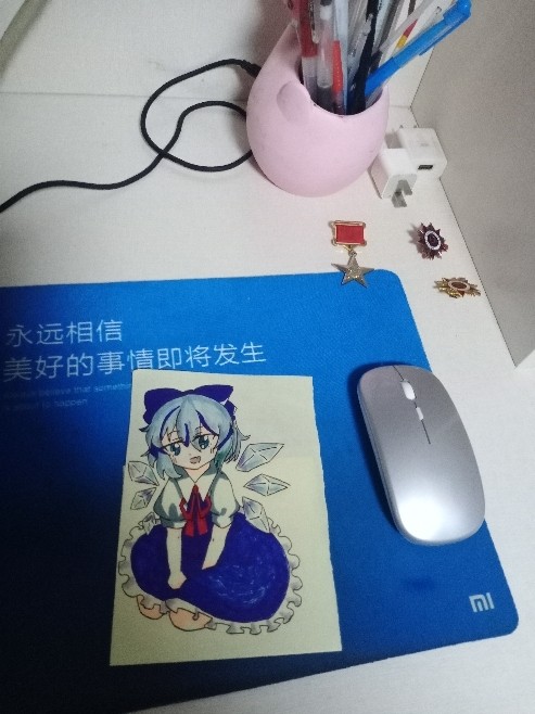 Someone Had draw a Cirno for me.