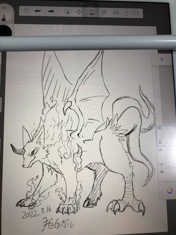近状報告?お知らせ
