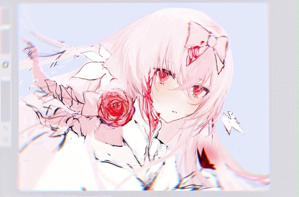hikari
