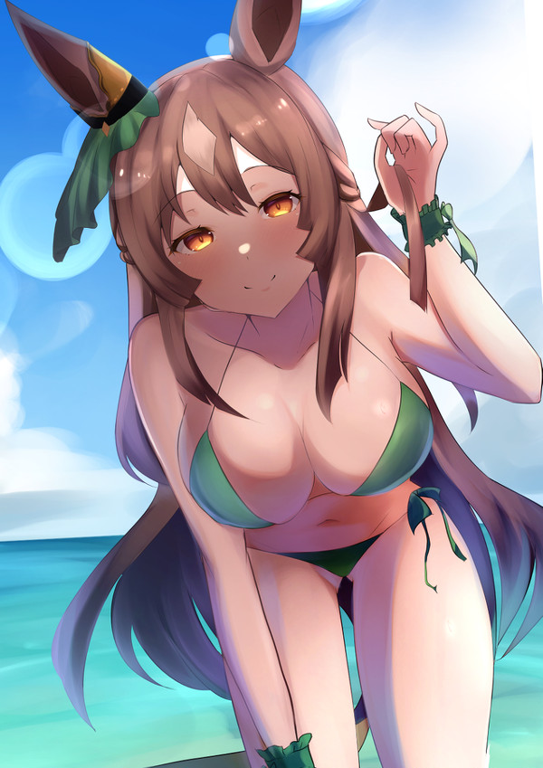 サトノダイヤモンド　夏の姿