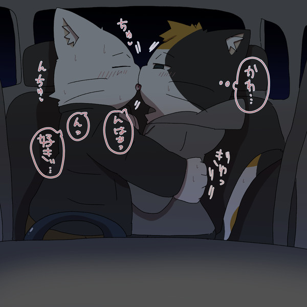 白×三毛シリーズ