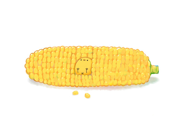 とうもろこしに隠れるひよこ。