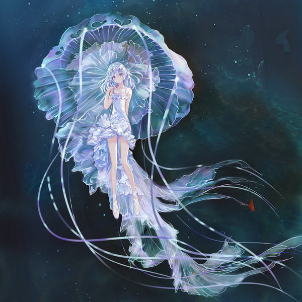 水母 - 1/1