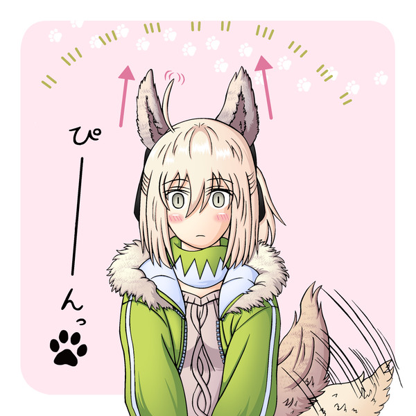 おきたわん