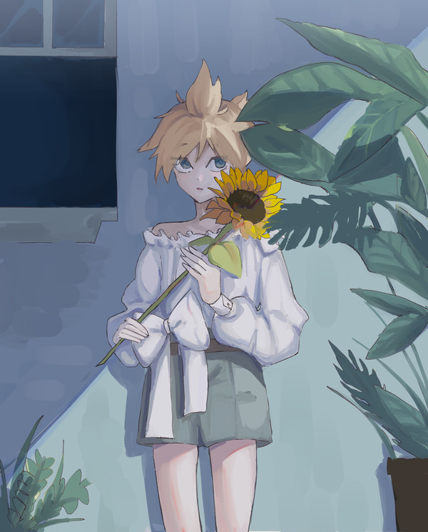 ヒマワリ