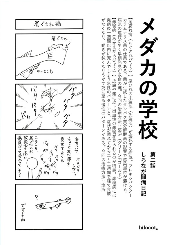 メダカの学校