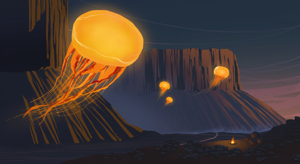 Jellyfish