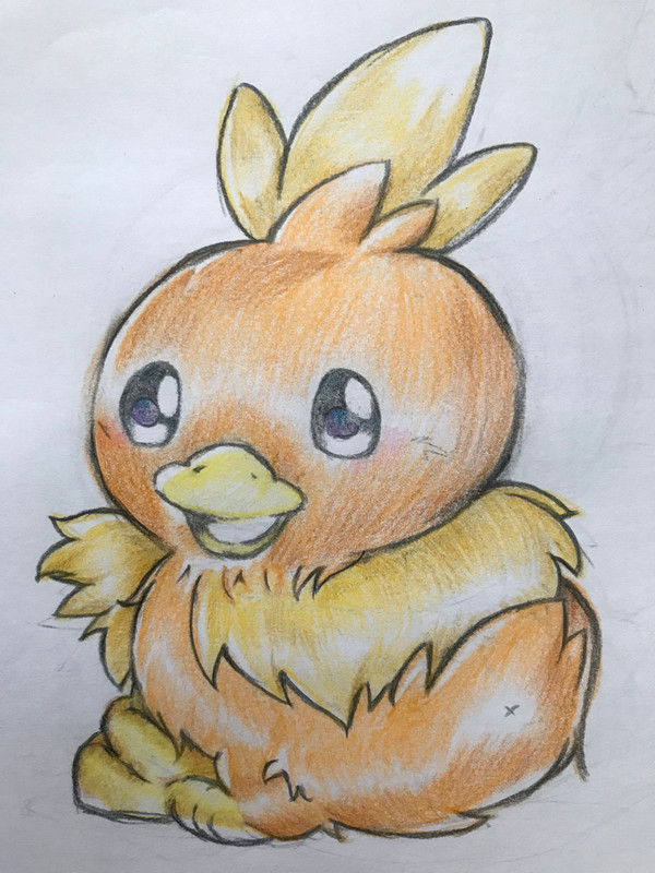 アチャモ