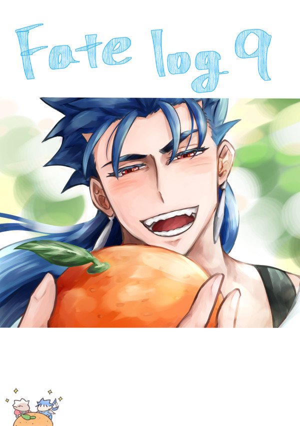 Fate log9