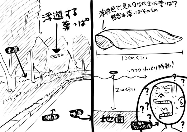 妄想と現実の区別がつかなくなった、ロリコンの悲しい末路