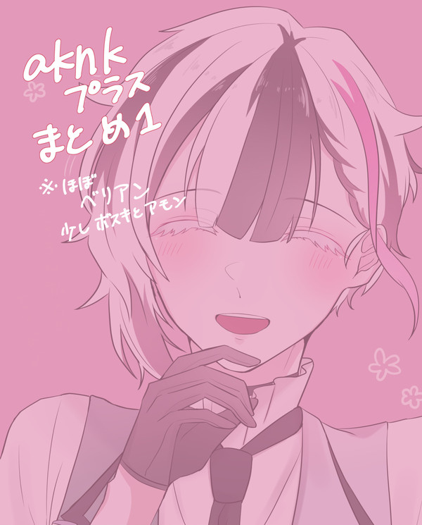 aknkプラスまとめ1