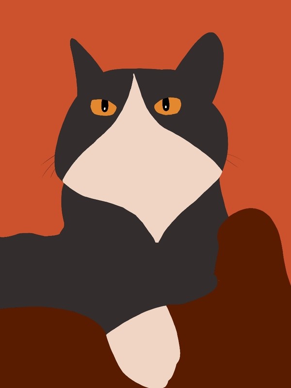 猫