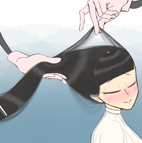髪の毛の強度実験/Strength Tests of Hair