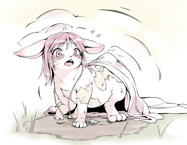ついったーまとめ+α