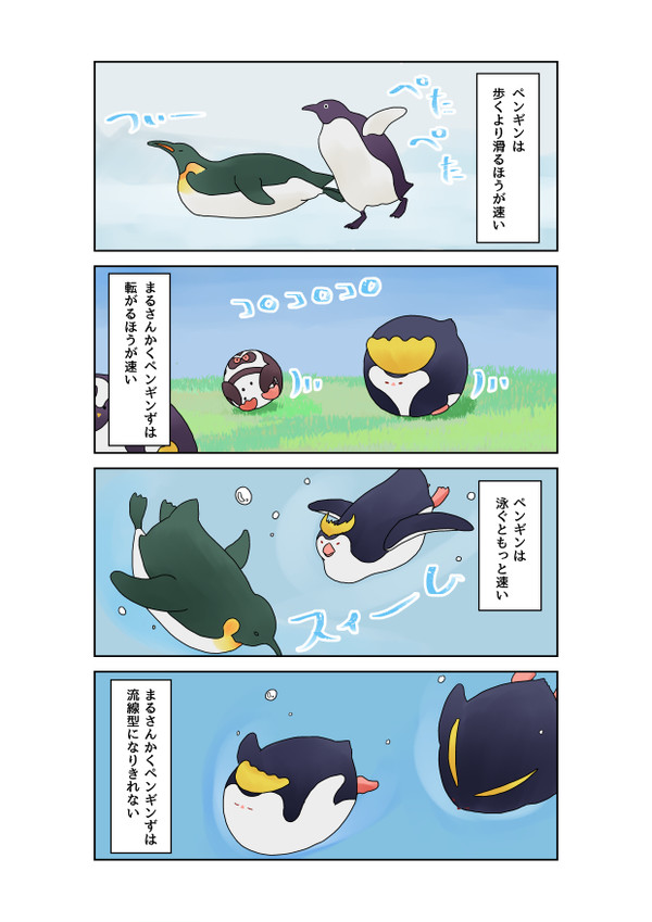 まるさんかくペンギンず　登場