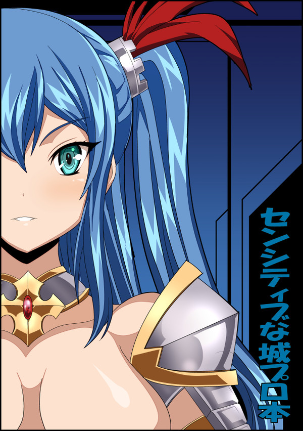 9／11城プロセンシティブ本表紙