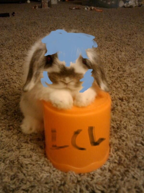ゲンドウ|レイ