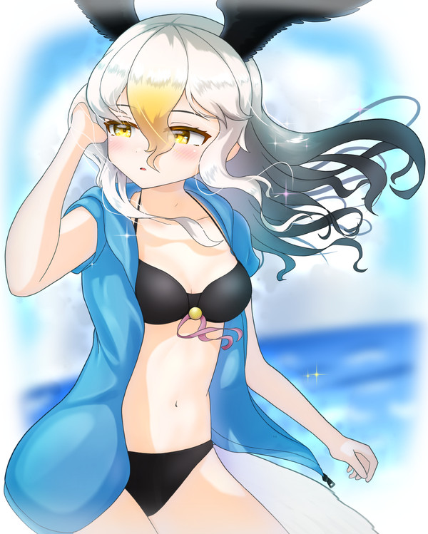 夏鷲