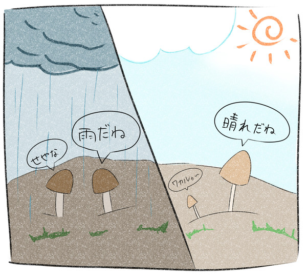 【すごい】きのこって会話してるらしい