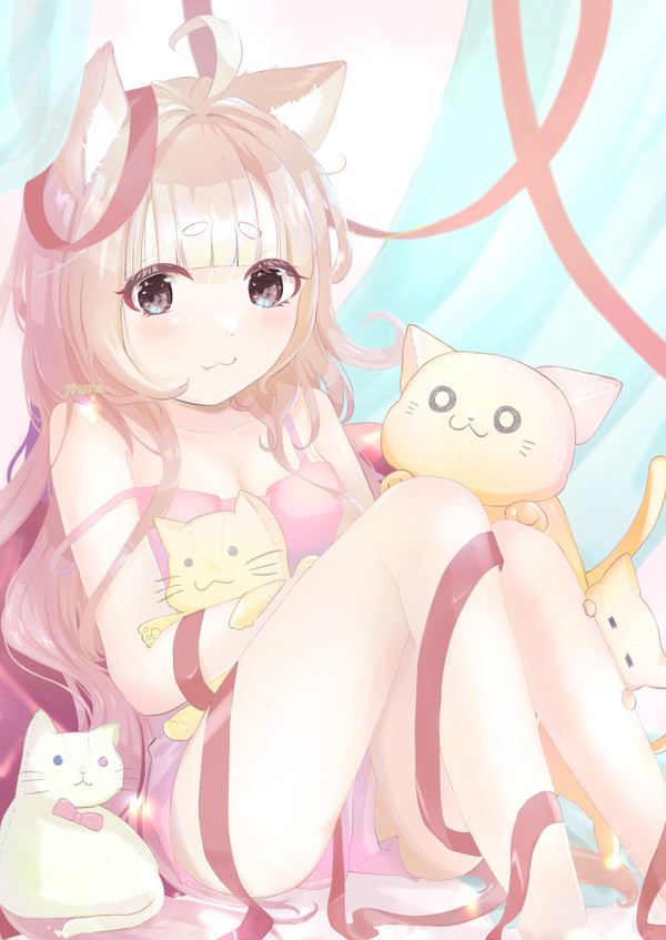 ねこのいる空間