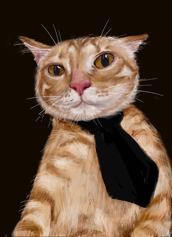 ねこ