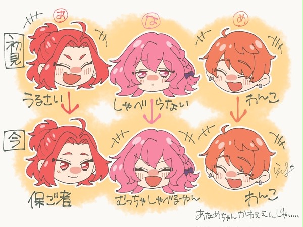 あなめちゃん
