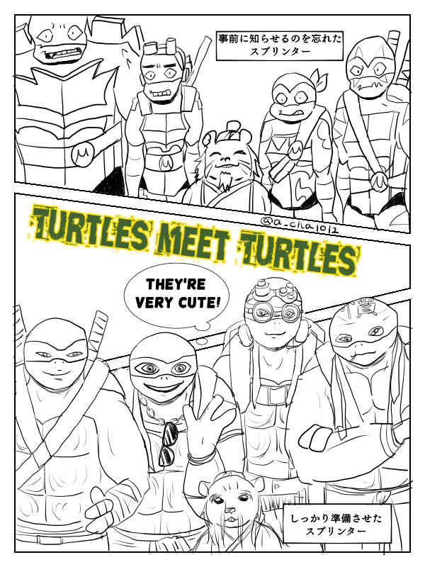 Turtles meet Turtles(新実写and rot)