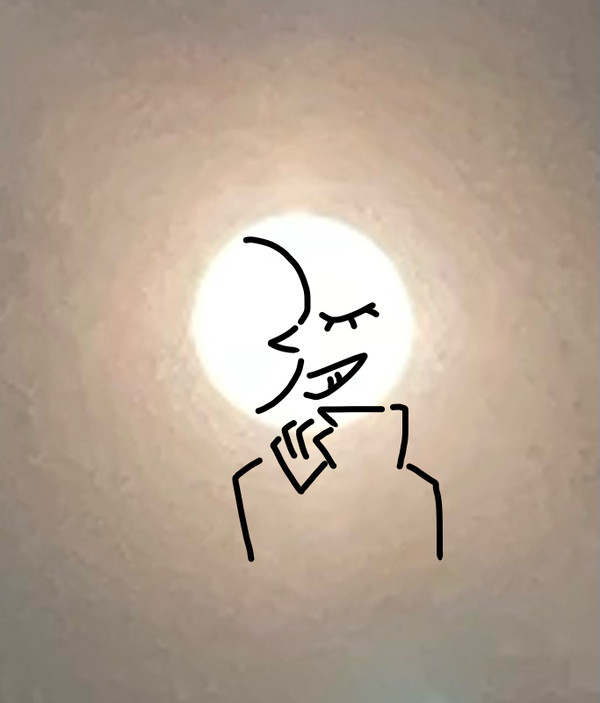 月顔の男