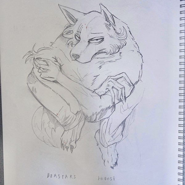 模写