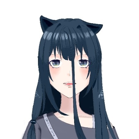 画了皮套