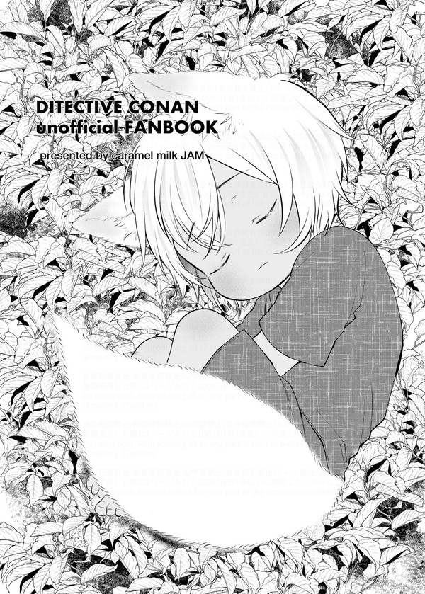 【新刊サンプル】雷神×九尾狐 準備号【大観覧車の頂上で12】