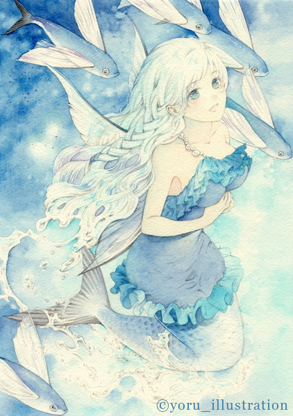 飛魚姫