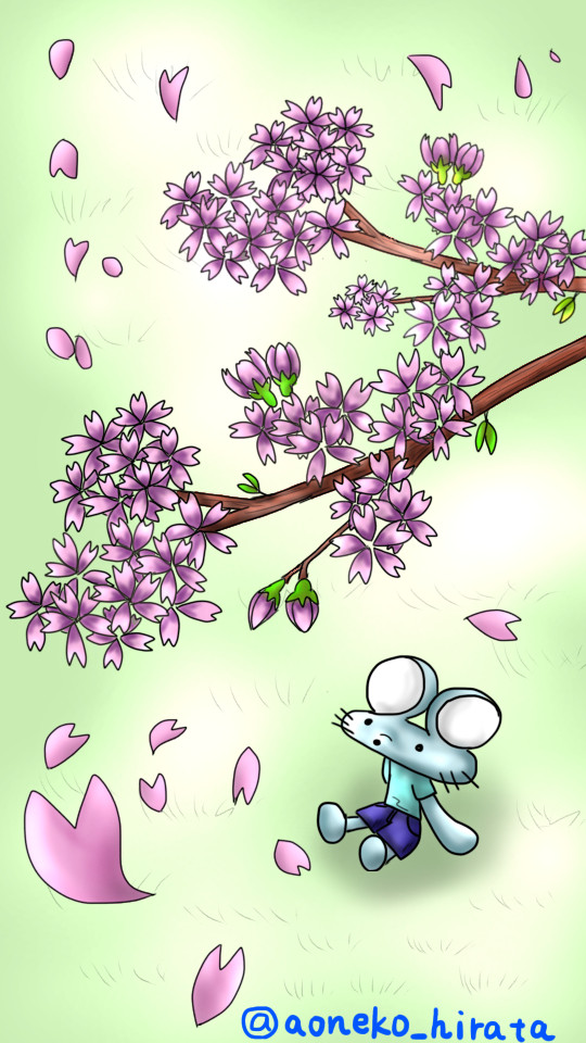 ヒラタネズミと桜の木