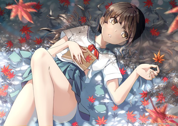 紅葉（もみじ） - 1/1