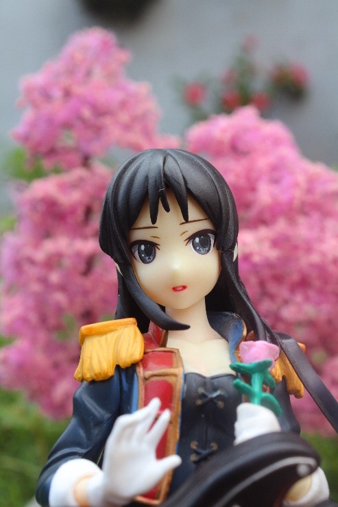 Sakura Mio Akiyama